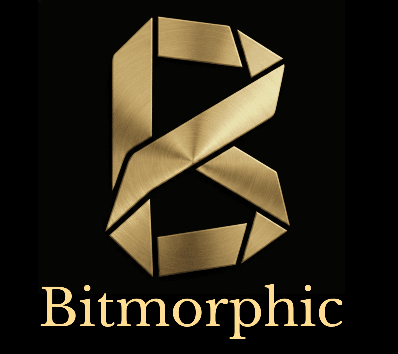 Bitmorphic